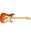Fender American Professional II Stratocaster© HSS Sienna Sunburst 011-3912-747