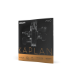 D'Addario Kaplan Amo Violin A String, 4/4 Scale, Medium Tension KA312 4/4M