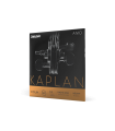 D'Addario Kaplan Amo Violin D String, 4/4 Scale, Heavy Tension KA313 4/4H