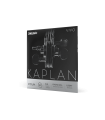 D'Addario Kaplan Vivo Violin G String, 4/4 Scale, Light Tension KV314 4/4L