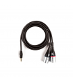 D'Addario Custom Series 1/8" to Dual  XLR Audio Cable PW-MPXLR-06