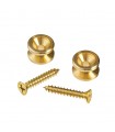 D'Addario Solid Brass End Pins - Brass (Pair) PWEP302