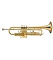 Bach Beginner Trumpet TR500