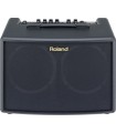 Roland Acoustic Guitar Chorus Amplifier AC-60