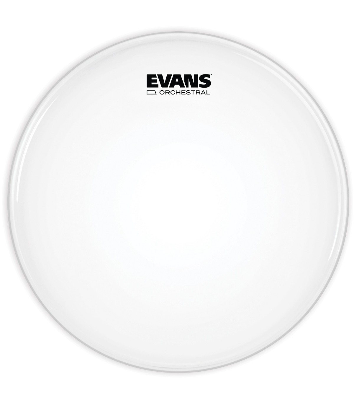 Evans Orchestral Coated White Snare Drum Head 14 Inch 