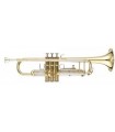 Accent Beginner Trumpet TR514L